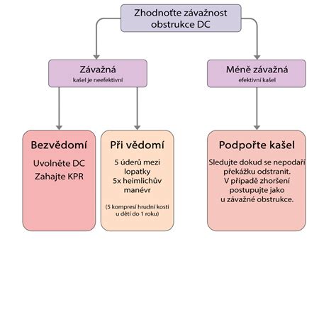 Plesne v dýchacích cestách: príznaky a diéta
