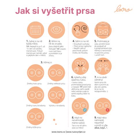 infografika postup IVF