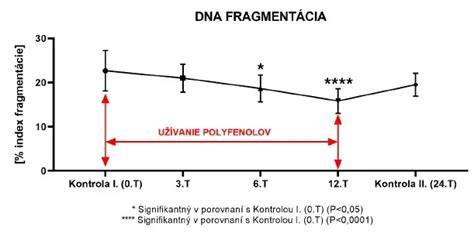 Schéma vplyvu antioxidantov na spermiogenézu a DNA spermií