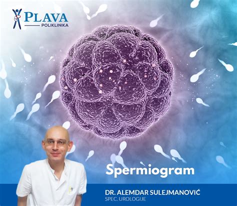 Diagram procesu vyšetrenia plodnosti u muža: od anamnézy po spermiogram