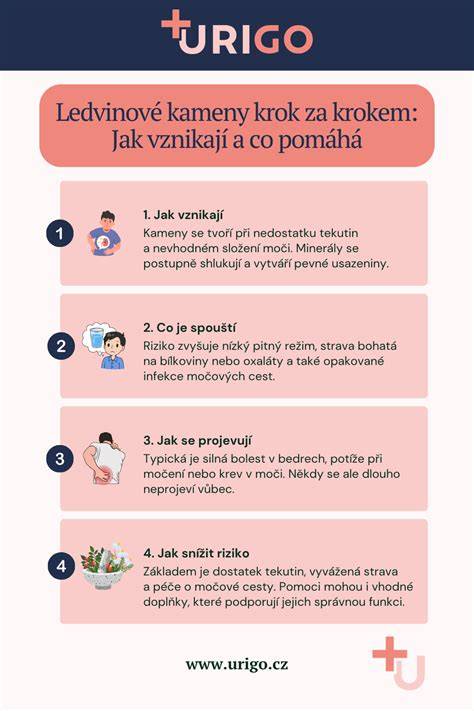 Infografika: Ako rozpoznať zablokovaný mliekovod a mastitídu