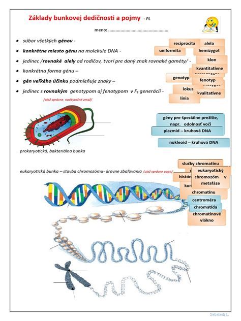Infografika: Hormonálne a genetické riziká potratu