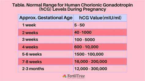 Infografika: Časový harmonogram IVF - od stimulácie po prvú krvný test beta-hCG