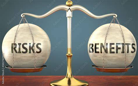 Infografika: BR² model - Balance between Risks and Resources