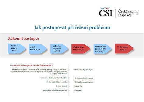 Obrázková infografika: postup hysteroskopickej polypektómie a obdobia rekonvalescencie