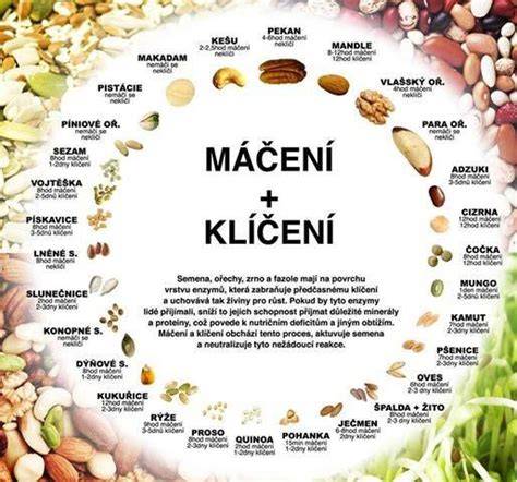 Infografika: varianty úprav pohánky (varenie, namáčanie, klíčenie, raw)