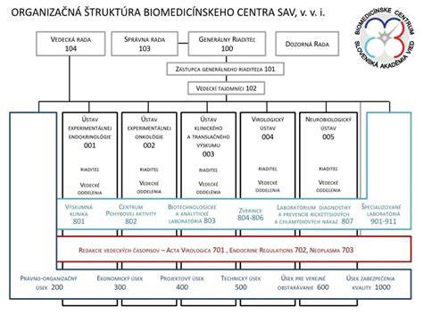Infografika: štruktúra vedenia kliniky