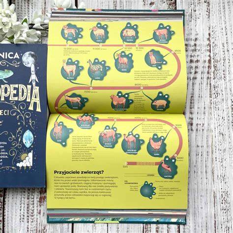 Teplotné triedy ponožiek - infografika