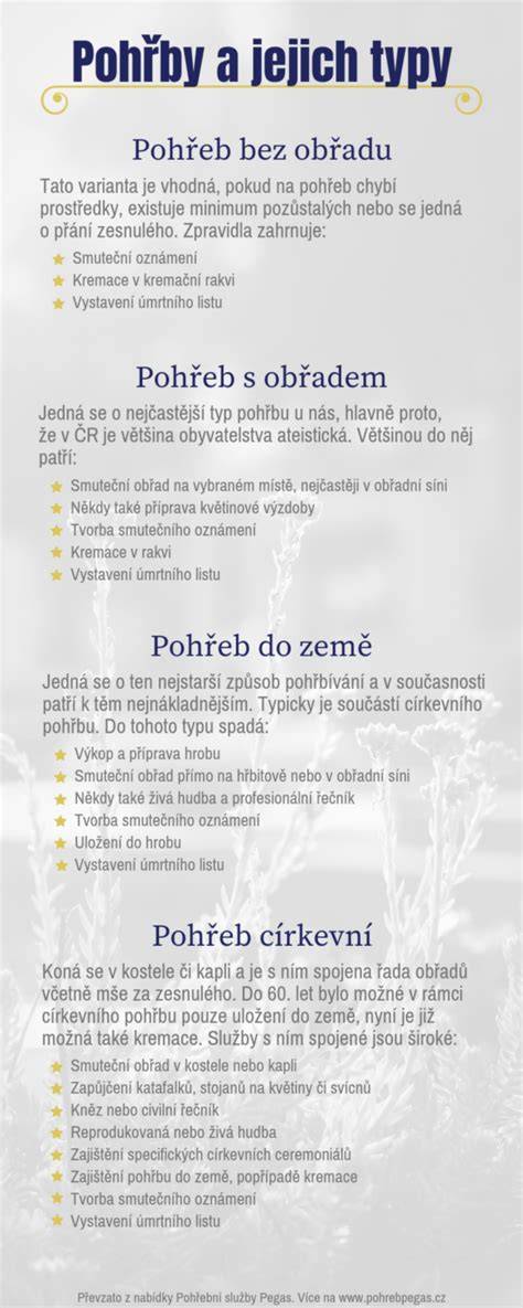 Infografika: Vekové skupiny a typy hračiek