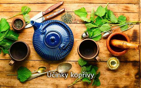 Infografika: Cesty pôrodu a ich hlavné benefity (kvapky, obrázky polôh, bonding)