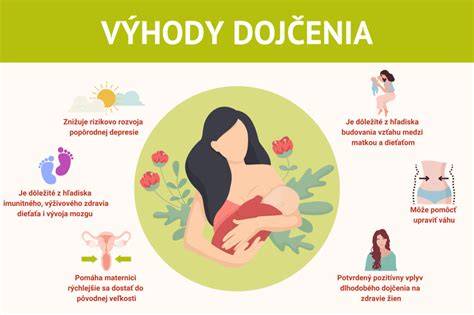 Infografika: Cestap pôrodu od príchodu do pôrodnice po kontakt koža na kožu