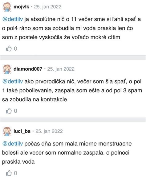 Príznaky blížiaceho sa pôrodu u feny a čo robiť v priebehu jednotlivých fáz