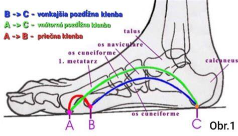 Infografika: anatomia klenby chodidla a typy plochých nôh