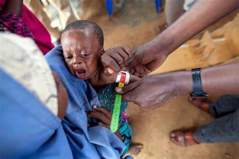 Infografika: Vývoj a pôsobenie UNICEF vo svete