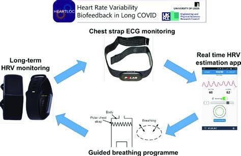 HRV biofeedback: schéma zosúladenia srdcovej frekvencie, dychu a emócií