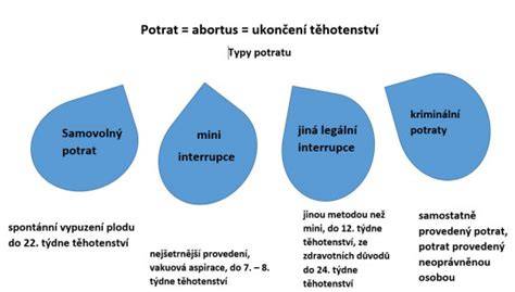 Infografika: Priebeh spontánneho potratu a typy potratu