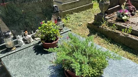 Hrob Moniky Potokárovej