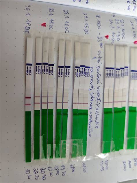 Pozitívny ovulačný test pri PCOS: príčiny a spoľahlivosť