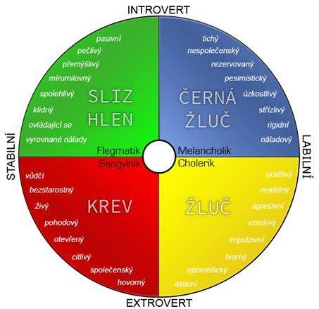 Testy osobnosti a kariérne typy - schéma