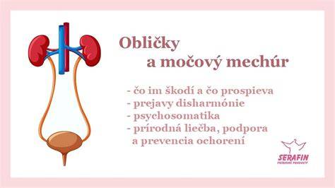 Infografika: Ako funguje močový mechúr a čo spôsobuje časté močenie
