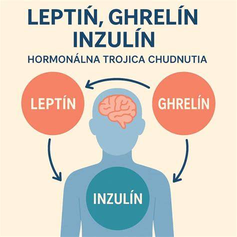 Infografika: Ako funguje hormón hladu ghrelín a hormón sýtosti leptín