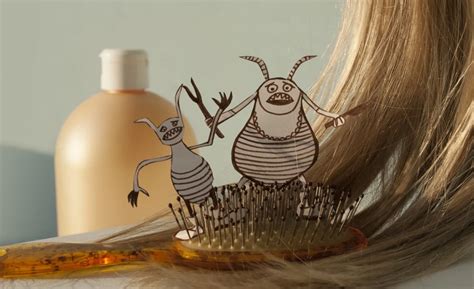 Pedikulóza v školských kolektívoch: Ako riešiť problém so všami