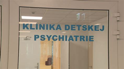 Schéma štruktúry Kliniky detskej psychiatrie
