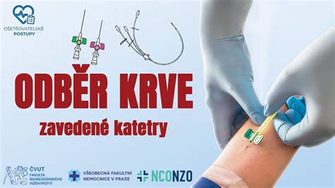 Obrázok zobrazujúci priebeh ultrazvuku a jednotlivé typy vyšetrení