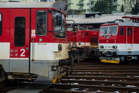 Ilustračná fotografia placenty