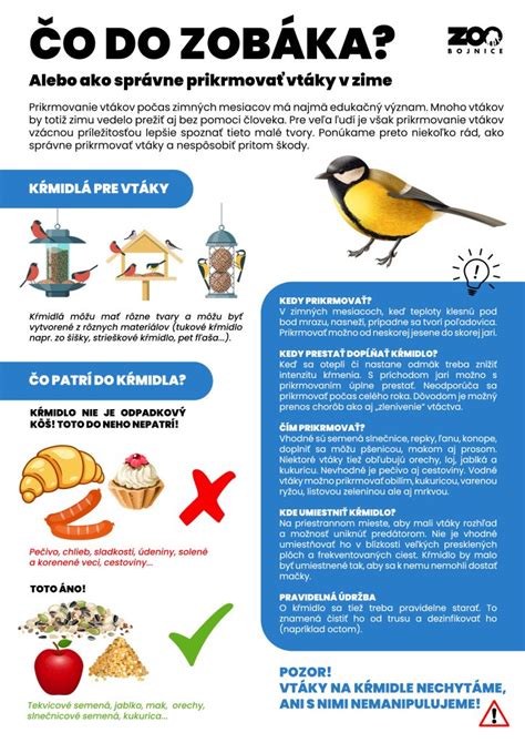 Infografika: Prekotný pôrod - čo robiť v teréne a čo očakávať