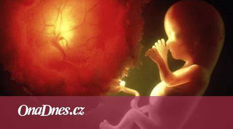 Infografika: Mechanizmus prenosu rakoviny z matky na plod cez placentu