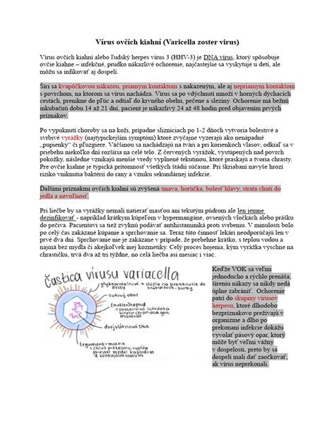 Diagram: Rizikové obdobia ovčích kiahní v tehotenstve - prvý trimester a pred pôrodom