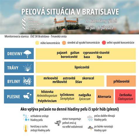 Infografika: Význam stromov v rôznych kultúrach a ich spojenie s narodením