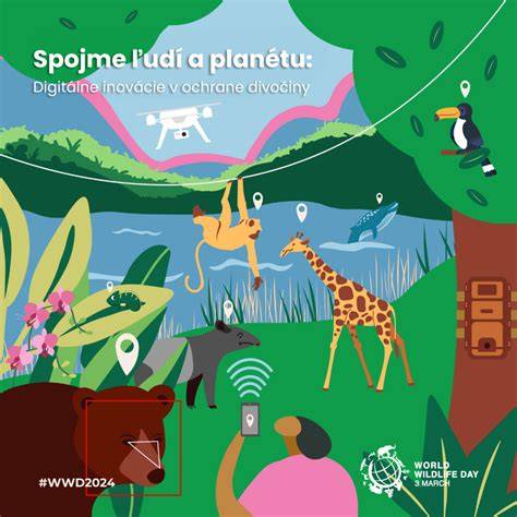 Infografika: Tok príležitostí a rozhodovacích momentov v ochrane detí