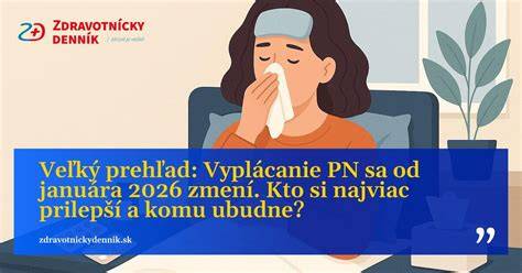 Infografika: Kto vypláca dávky a ako sa určuje primárny štát