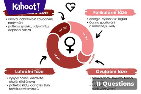 Ilustrácia ženského reprodukčného systému a procesu ovulácie