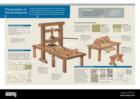 krok-za-krokom-zavádzanie-vajíčok-infografika