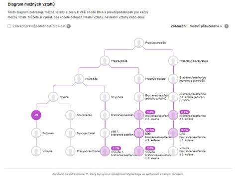 Ilustratívny diagram rodinných väzieb Wittelsbachovcov a Habsburgovcov