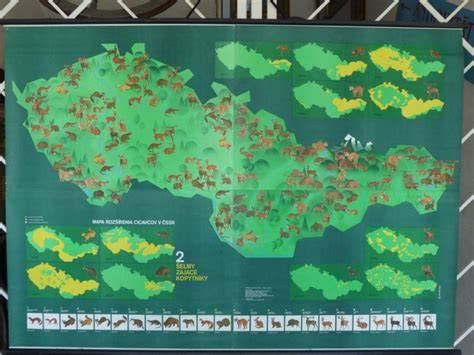 Mapa rozšírenia mláďat vo vybraných druhoch v európskych lesoch