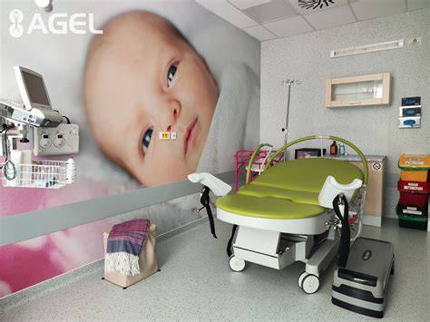 Diagrám: Výber pôrodnice a prebieh pôrodu
