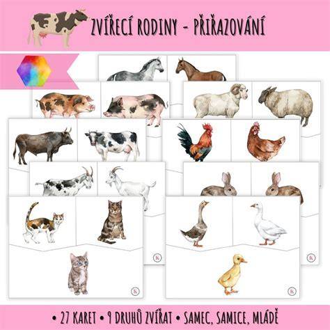 Infografika: Príspevok pri narodení dieťaťa v ČR a súvisiace podmienky