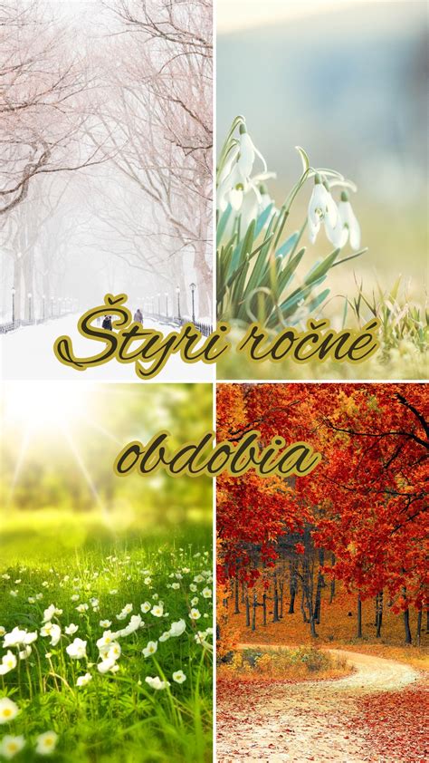 Infografika: Cyklické obdobia po potrate