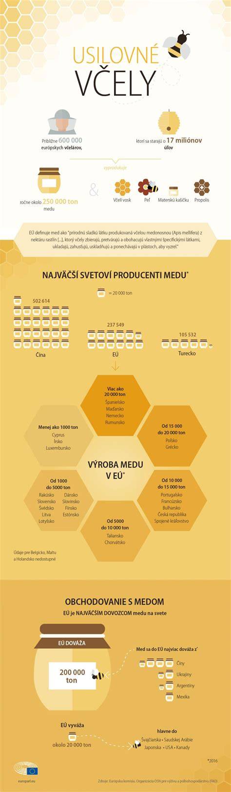 Infografika: priebeh prvého trimestra a kľúčové vyšetrenia