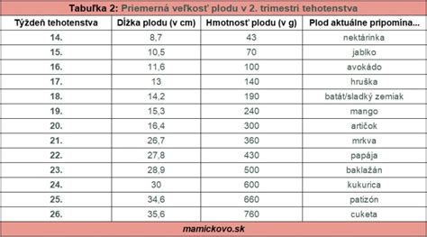 Infografika: Vývoj plodu v prvom trimestri podľa týždňov