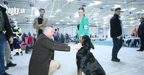 Ilustračná fotografia psa na výstave