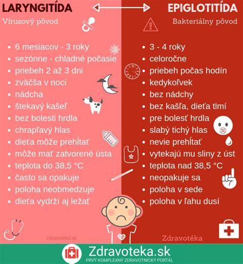 Infografika: Rozdiely medzi druhmi tekvíc a ich vhodnosť pre detskú kuchyňu