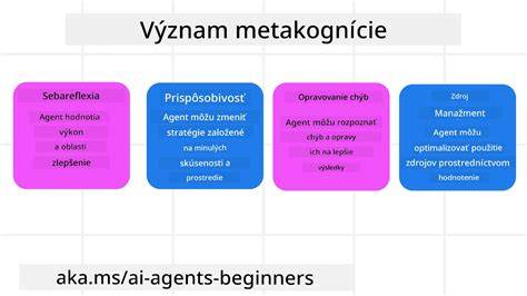 schema_metakognicie