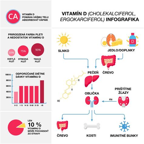 Grafické znázornenie produkcie vitamínu D v tele pod vplyvom slnečného žiarenia