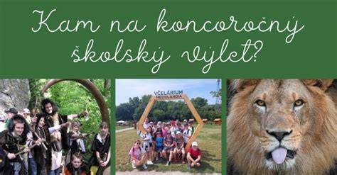Grafické znázornenie procesu balenia na školský výlet