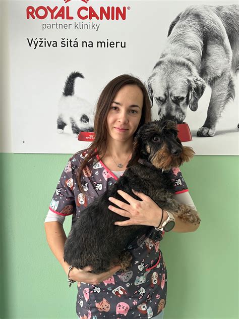 Infografika zobrazujúca moderné veterinárne vybavenie